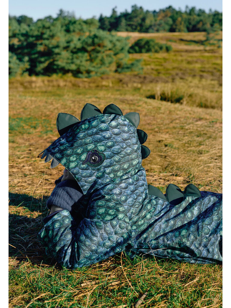 Molo Pax - Allosarus