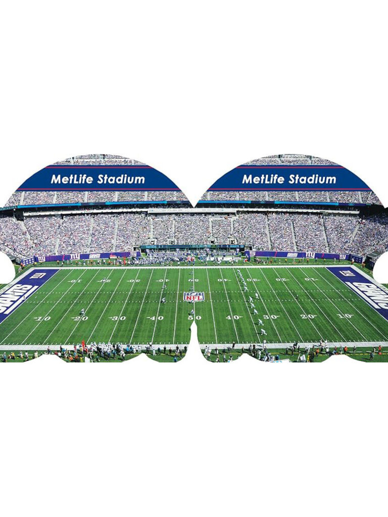 New York Giants 101