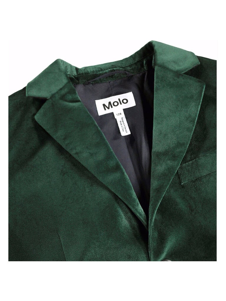 Molo Hieronymus - Taxus