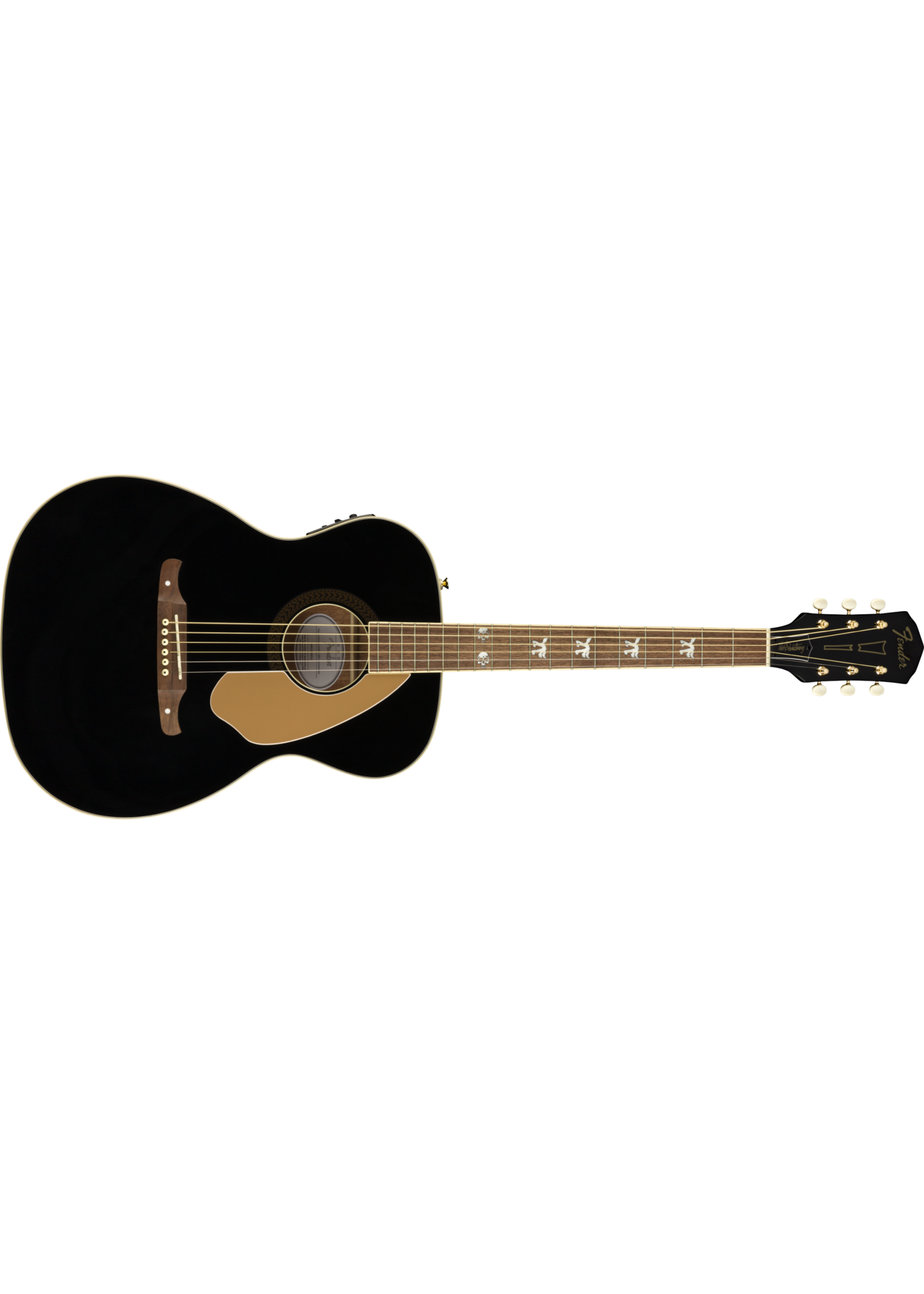 Fender Fender Acoustic Tim Armstrong Hellcat Anniversary WN Black
