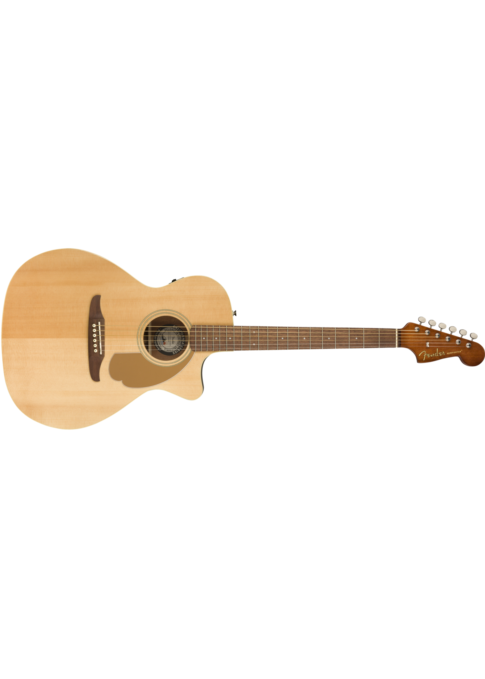 Fender Fender Acoustic Newporter Player WN