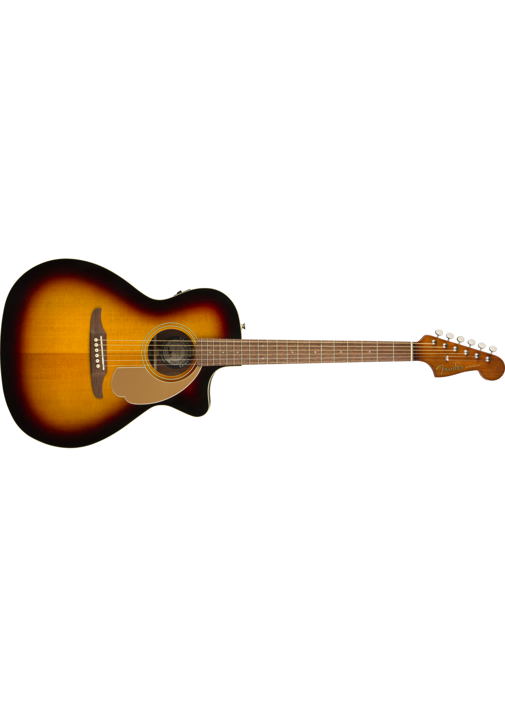 Fender Fender Acoustic Newporter Player WN