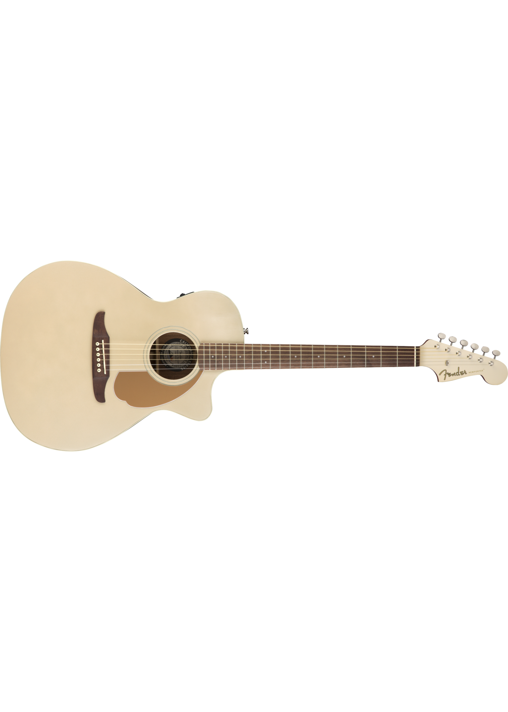 Fender Fender Acoustic Newporter Player WN