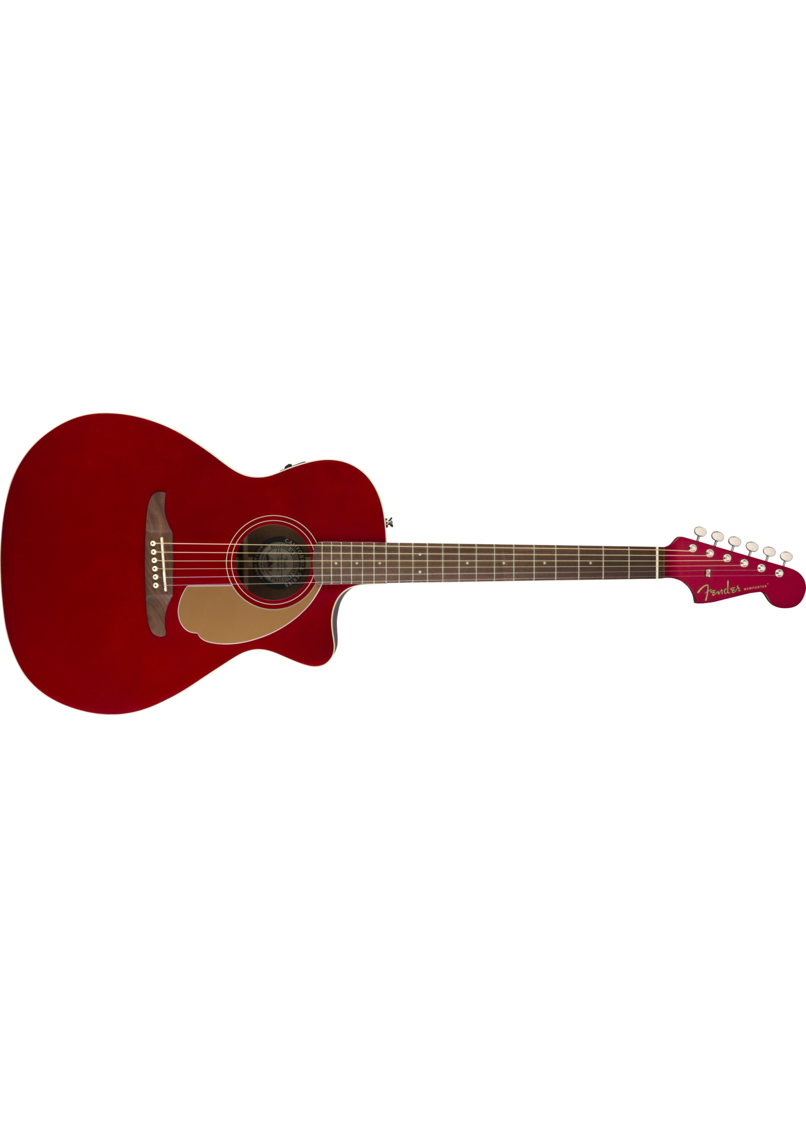 Fender Fender Acoustic Newporter Player WN
