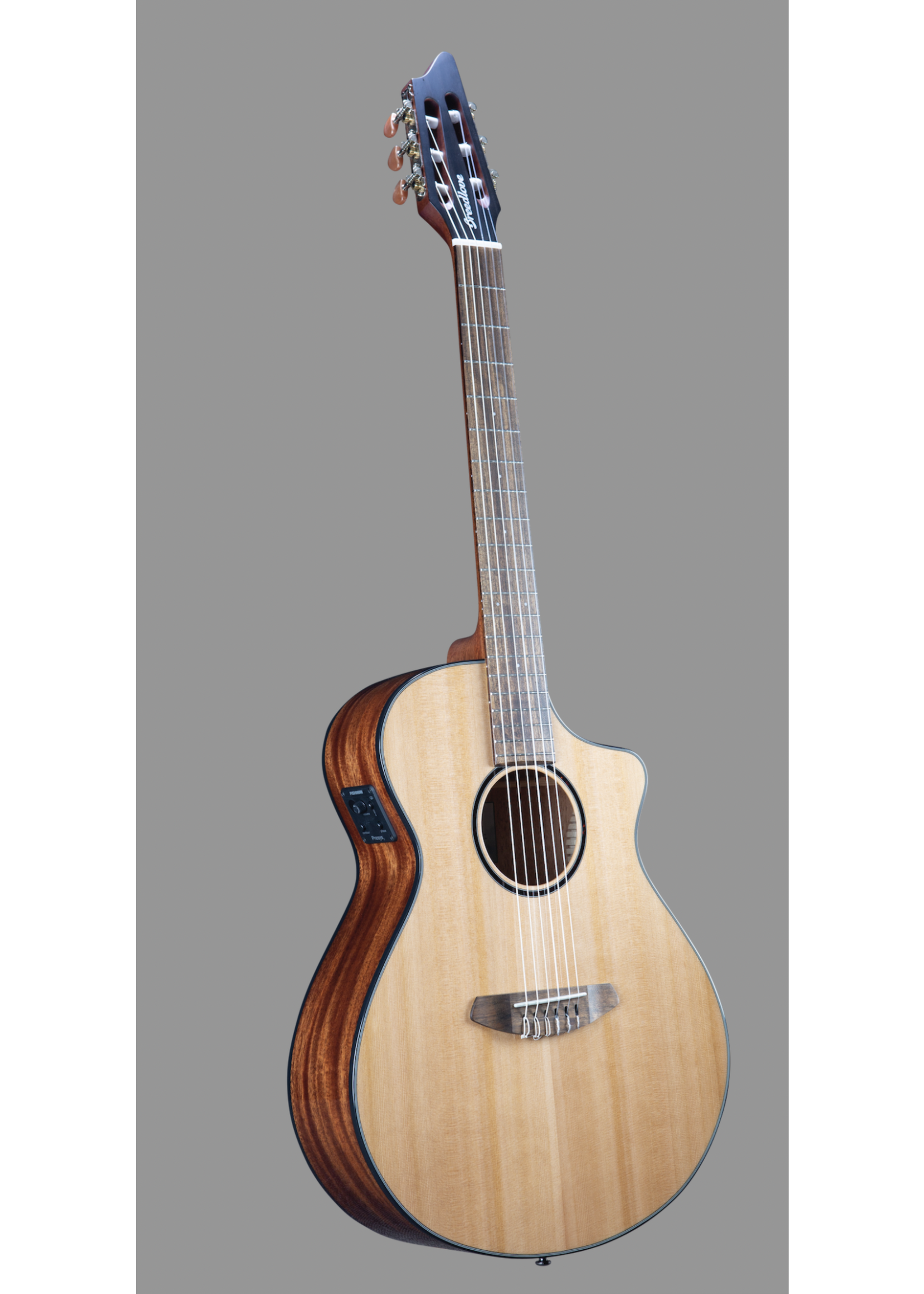 Breedlove Breedlove Classical Guitar Discovery S Nylon CE