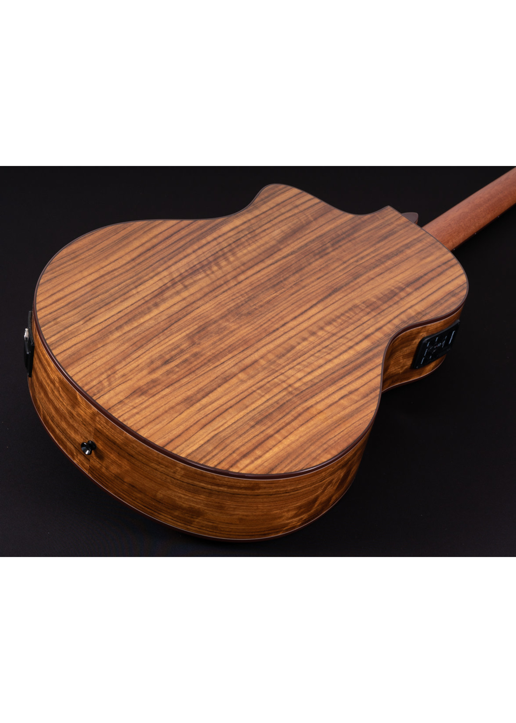 Washburn Washburn Acoustic Guitar Bella Tono Studio 9 Vine CE