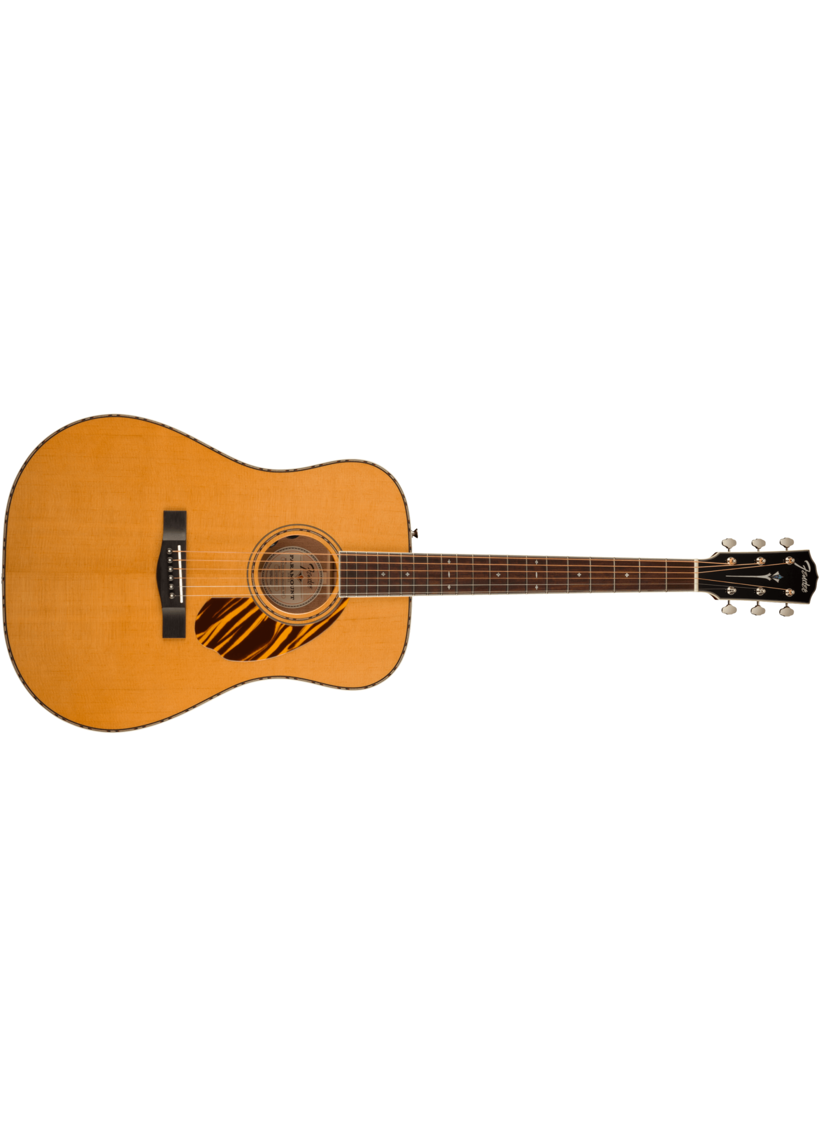 Fender Fender Acoustic PD-220E Dread w/Case