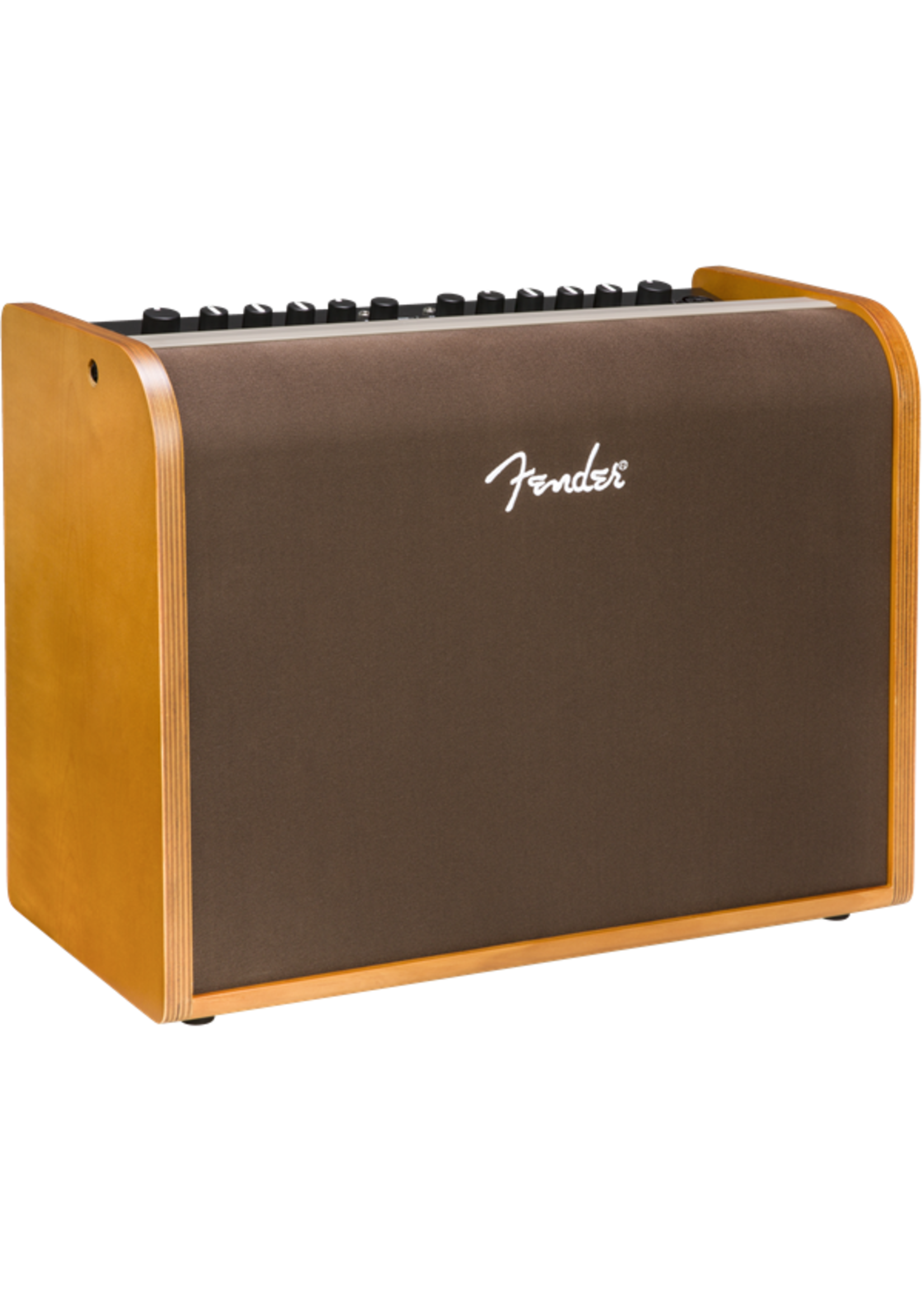Fender Fender Amplifier Acoustic 100