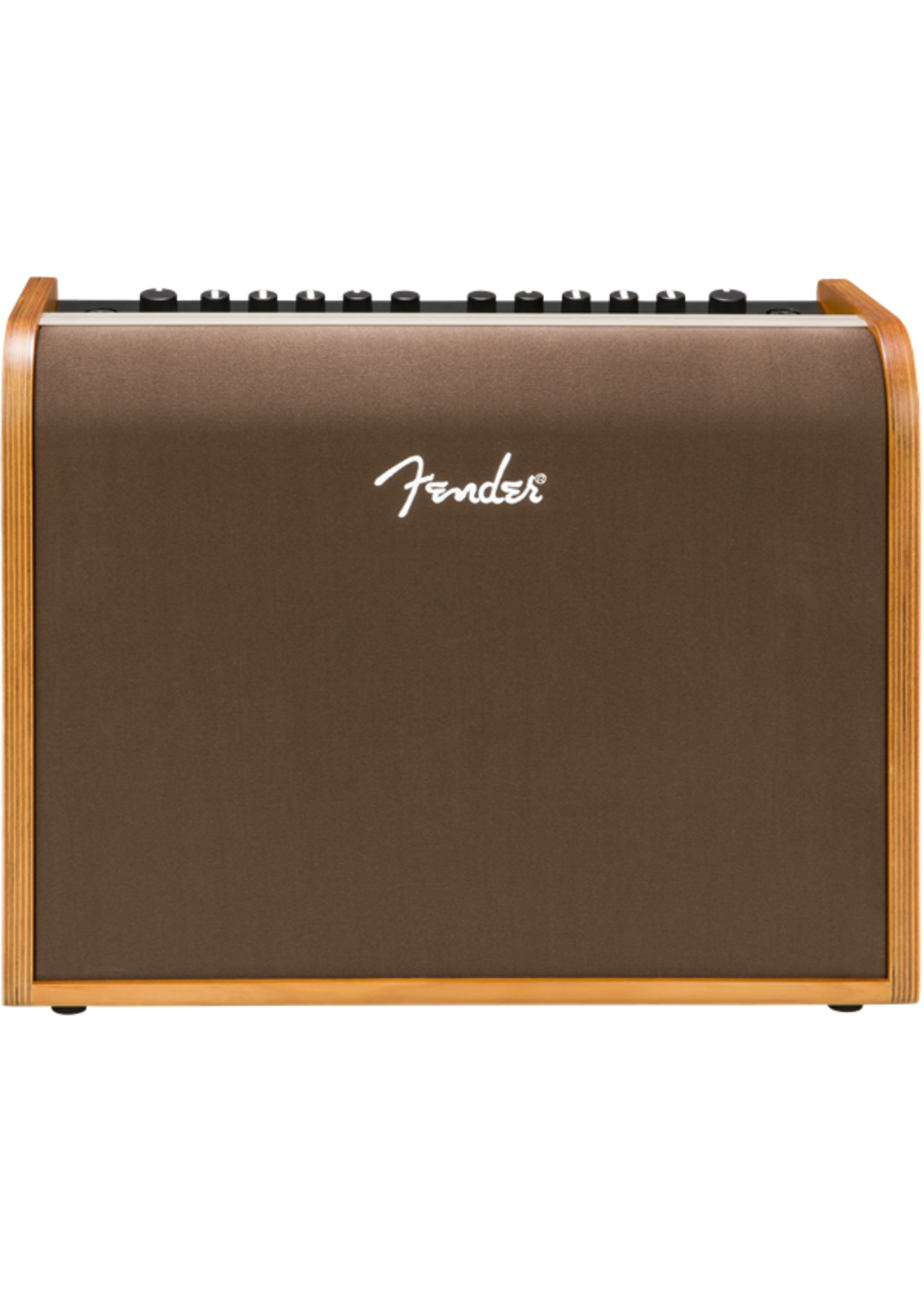 Fender Fender Amplifier Acoustic 100