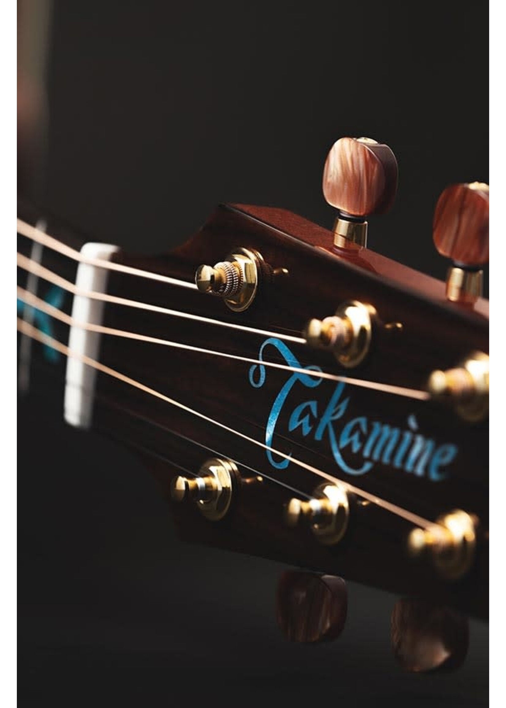 Takamine Takamine Acoustic LTD 2023 Sante Fe 30th Anniversary