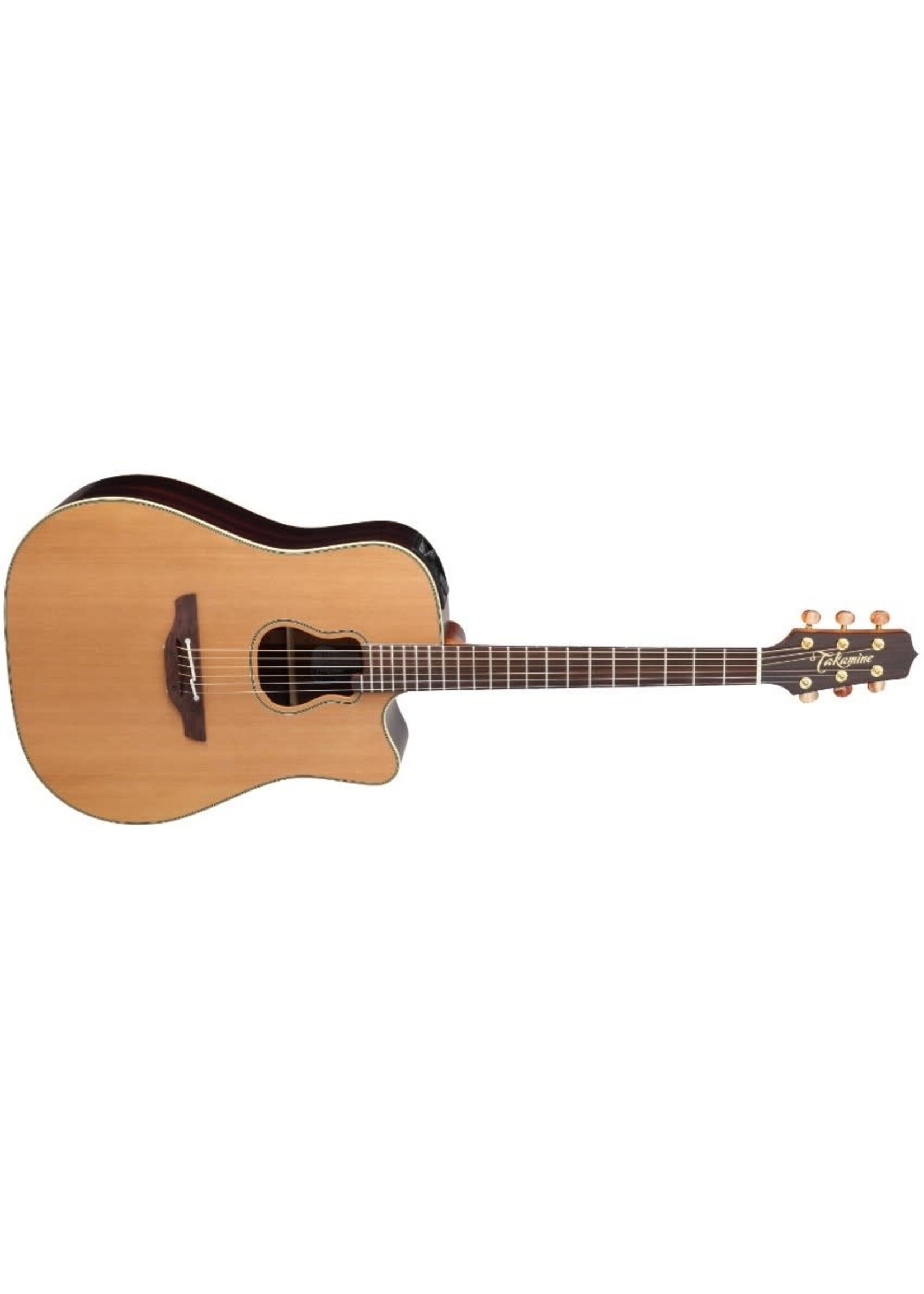 Takamine Takamine Acoustic Dreadnought Pro Series Garth Brooks Signature GB7C w/Hard Case