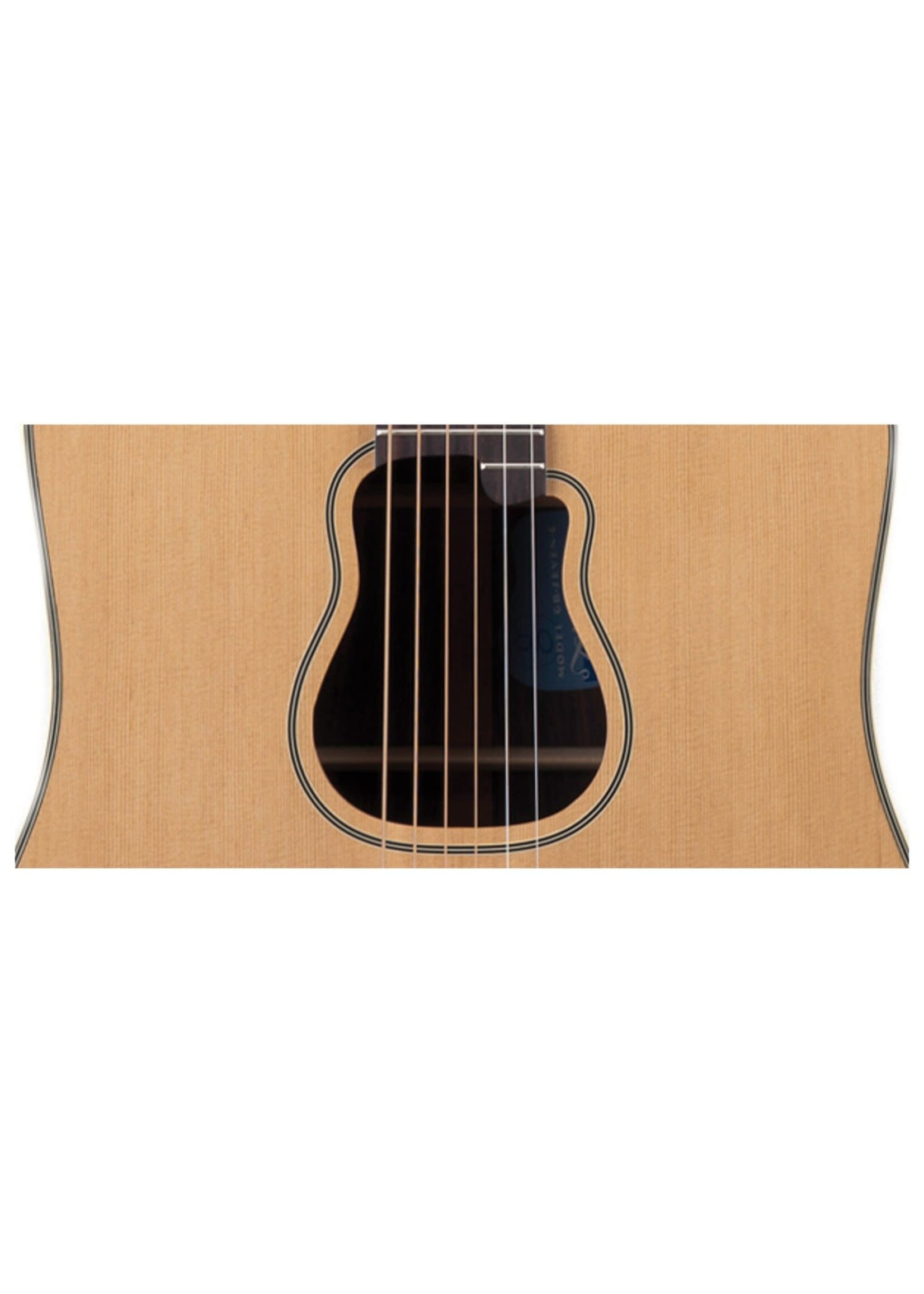 Takamine Takamine Acoustic Dreadnought Pro Series Garth Brooks Signature GB7C w/Hard Case