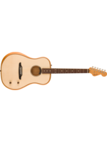 Fender Fender Acoustic Highway Series Dreadnought RW w/Gig Bag