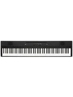 Korg Korg Keyboard Liano 88-Key