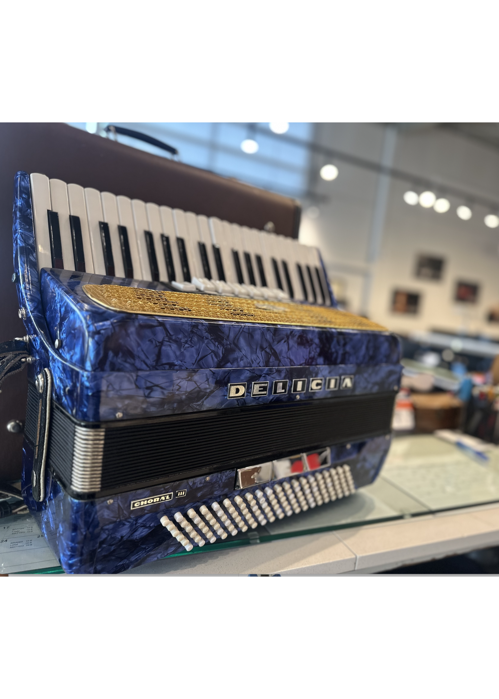 Delicia Pre-Owned Delicia Full Size Accordion