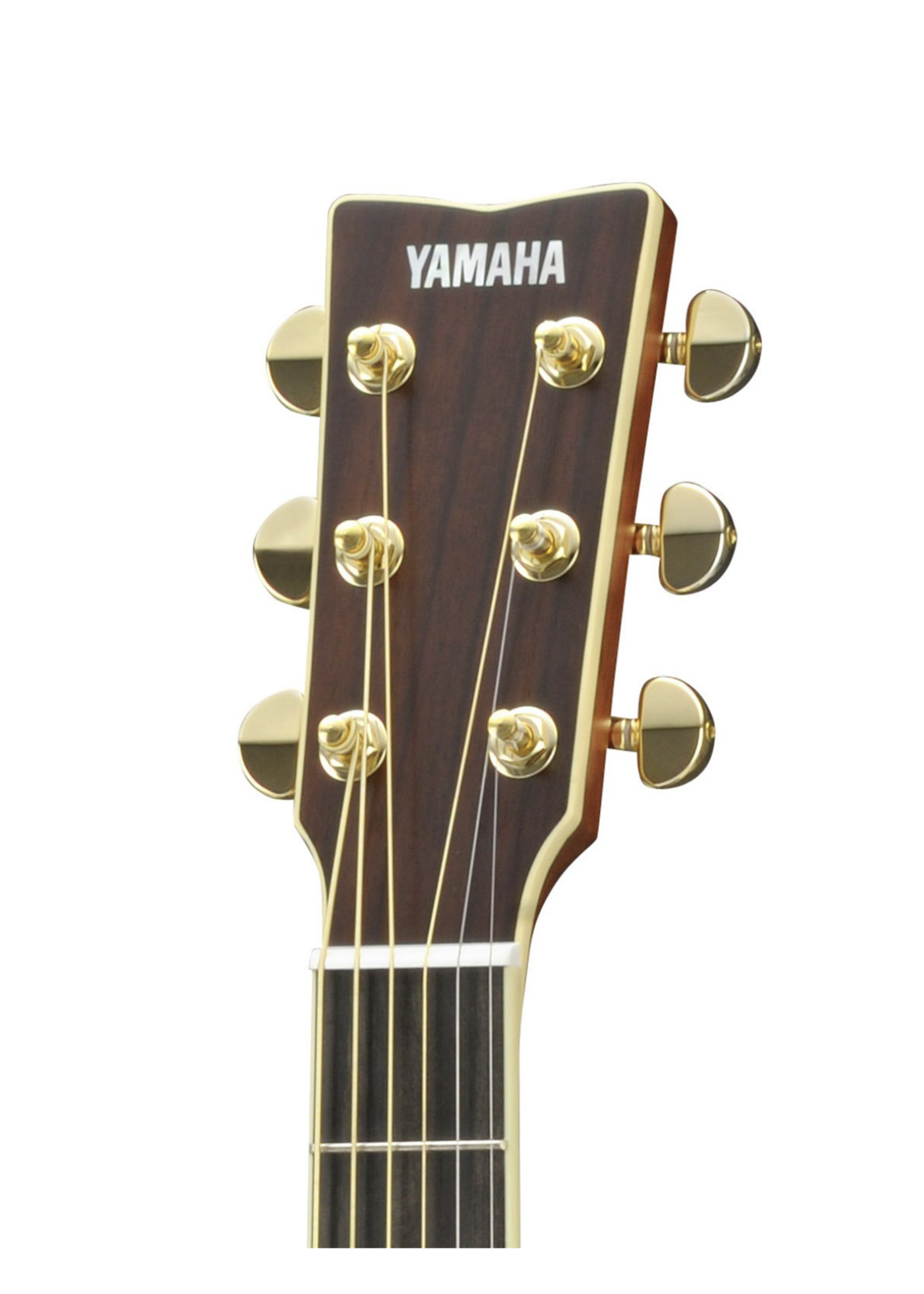 Yamaha Yamaha Acoustic Mini Jumbo LJ16 ARE