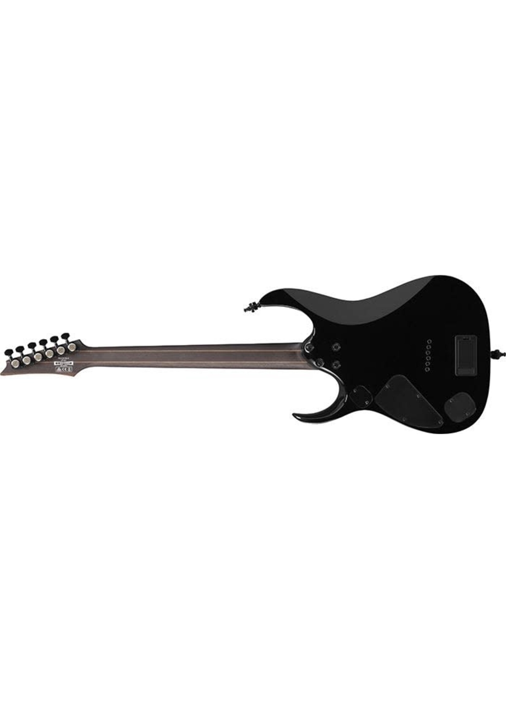 Ibanez Ibanez Electric Axion Label RGD61ALA Midnight Tropical Rainforest