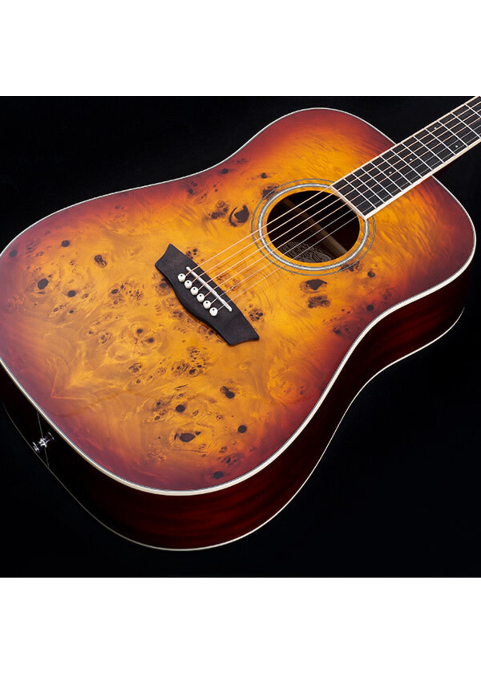 Washburn Washburn Acoustic Guitar Dreadnought Deep Forest Burl DFBDA Amber Fade