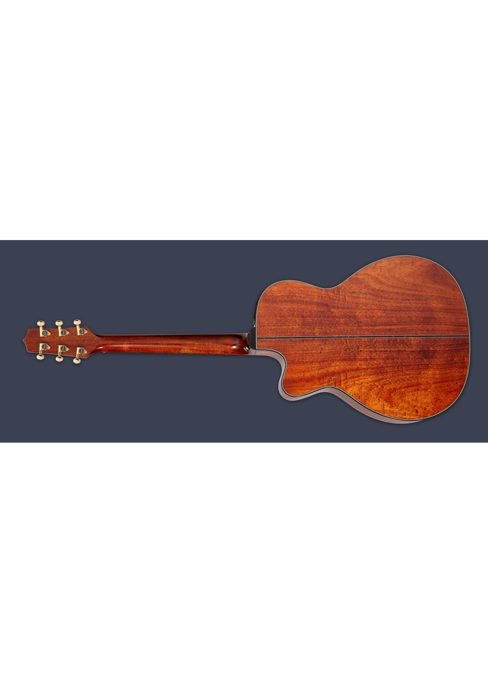 Takamine Takamine 2025 Limited Edition Acoustic Electric LTD2025