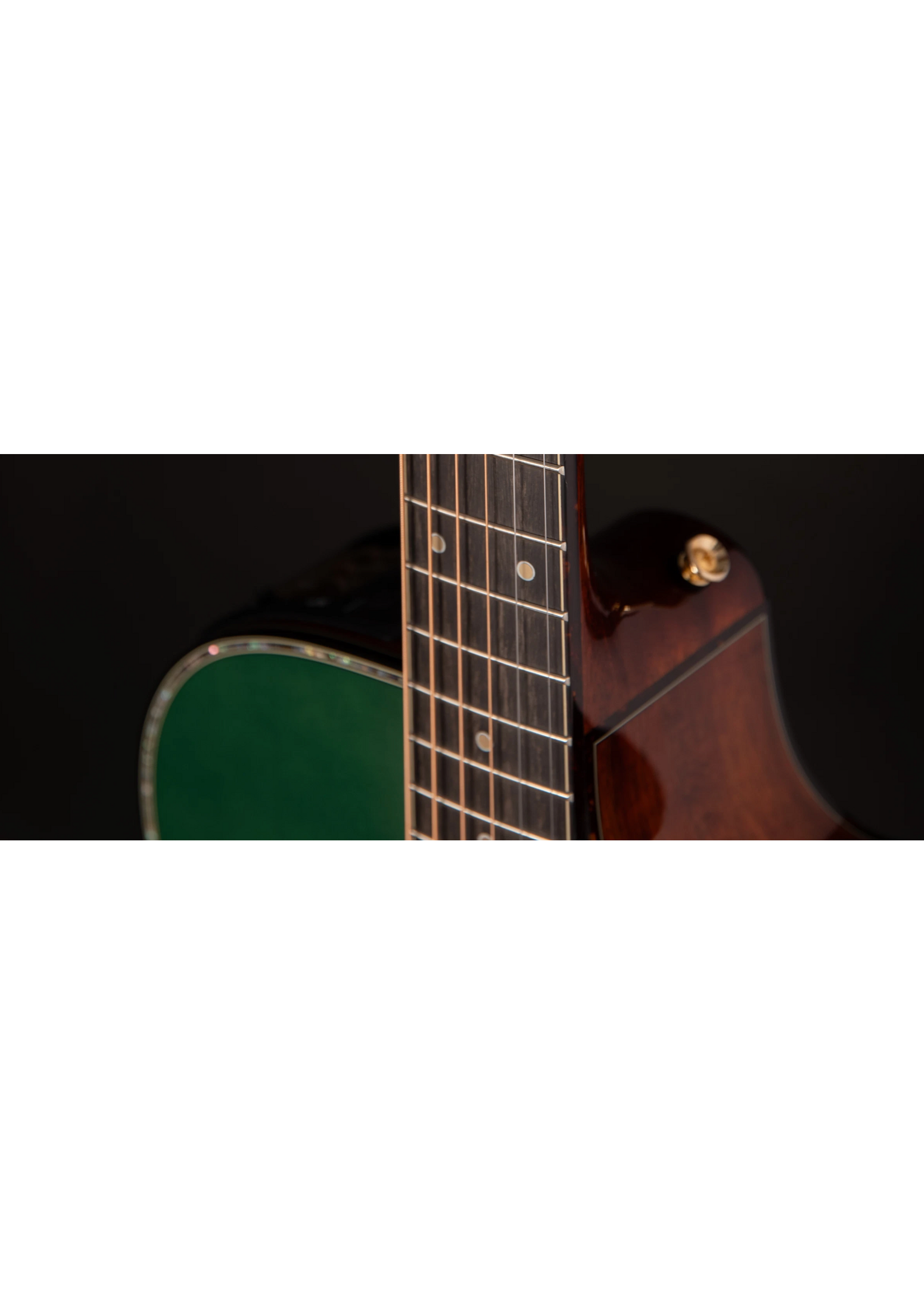 Takamine Takamine 2025 Limited Edition Acoustic Electric LTD2025