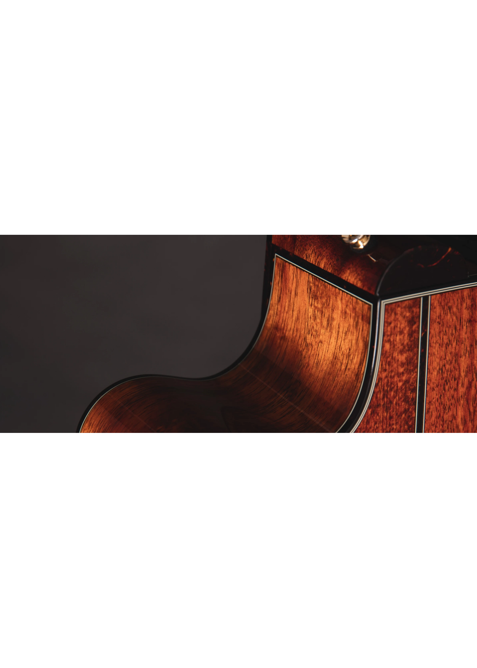 Takamine Takamine 2025 Limited Edition Acoustic Electric LTD2025