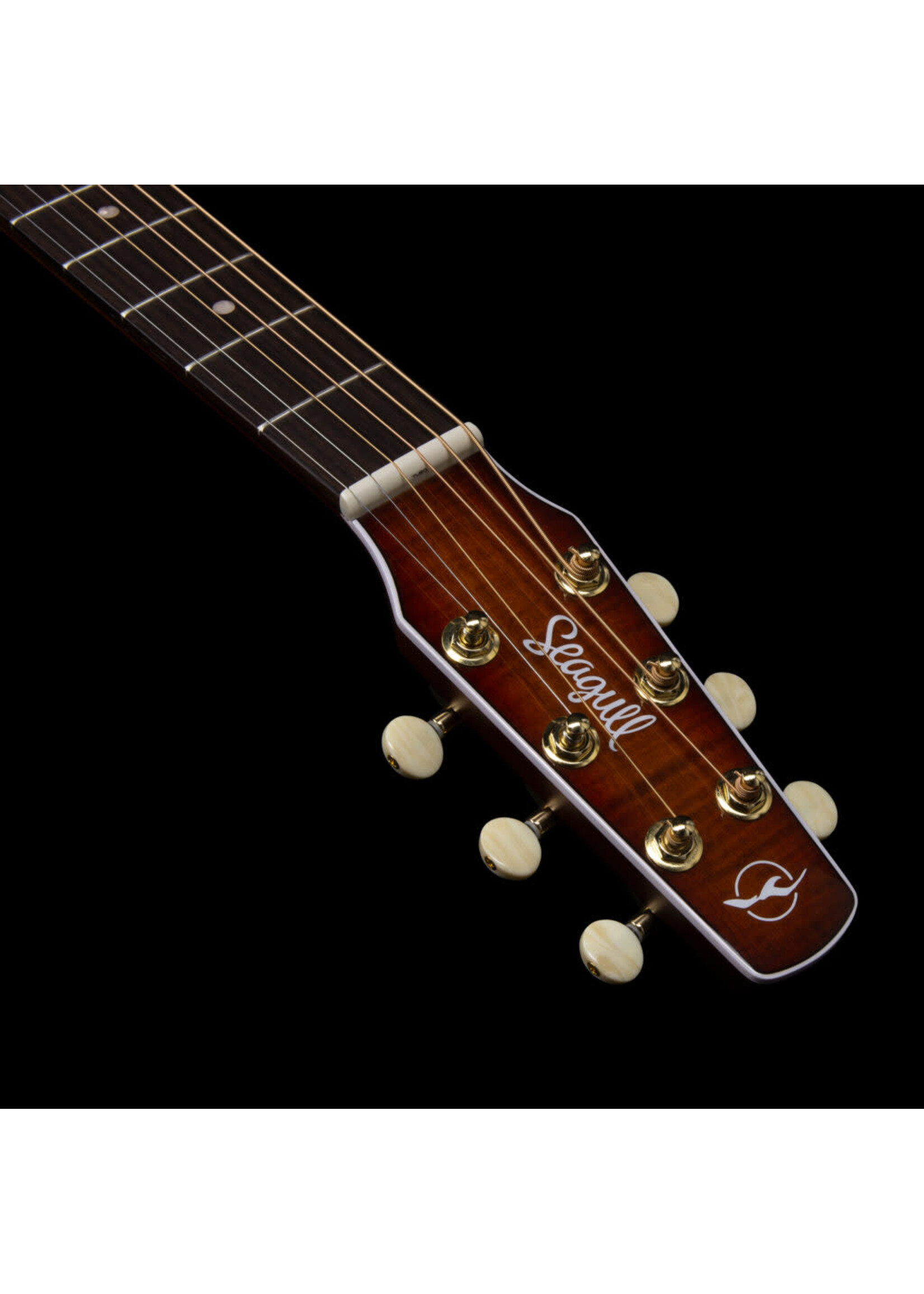 Seagull Seagull Acoustic Concert Performer CW CH Burnt Umber Presys II w/Bag