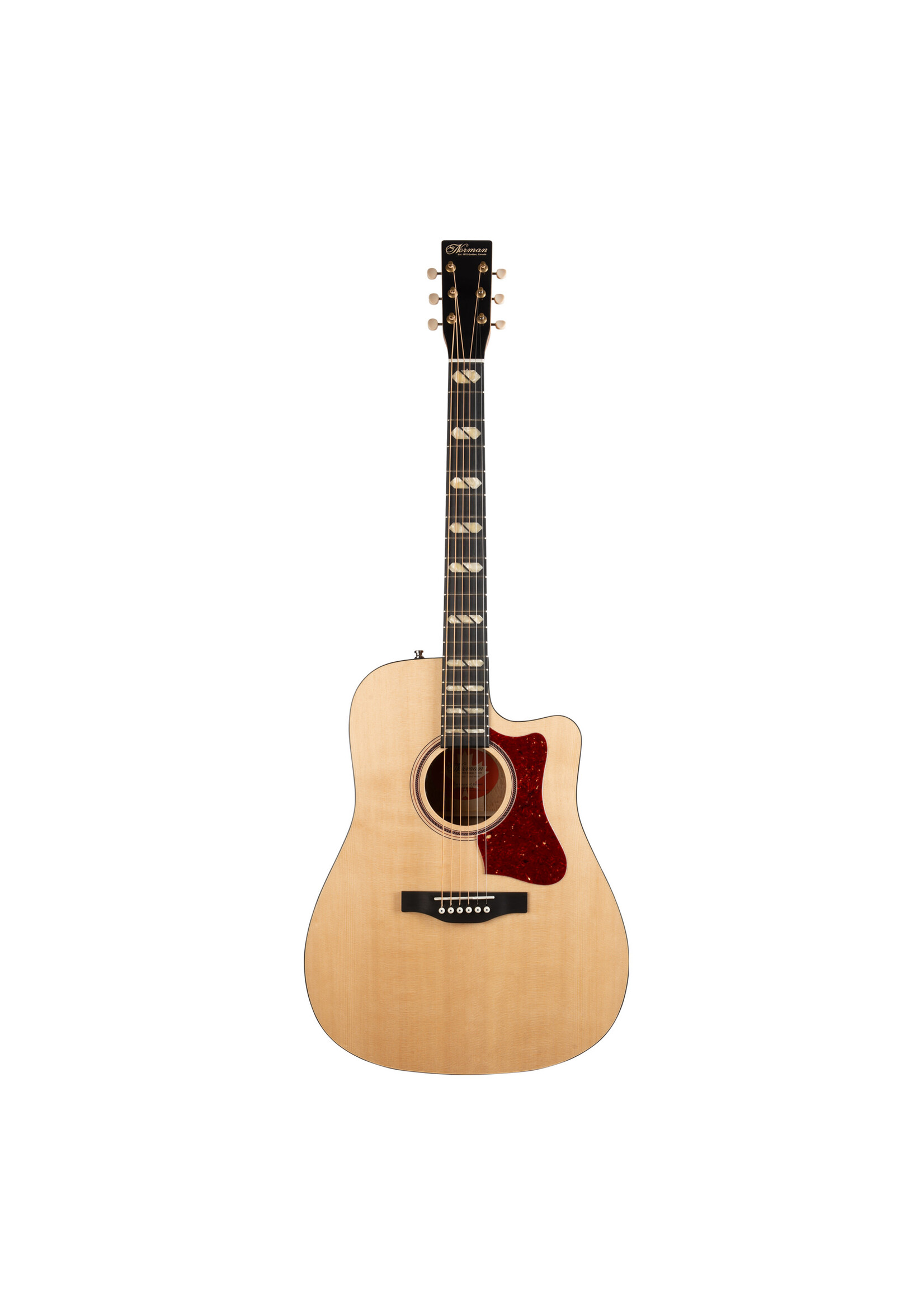 Norman Norman Acoustic ST40 CW Natural HG Element