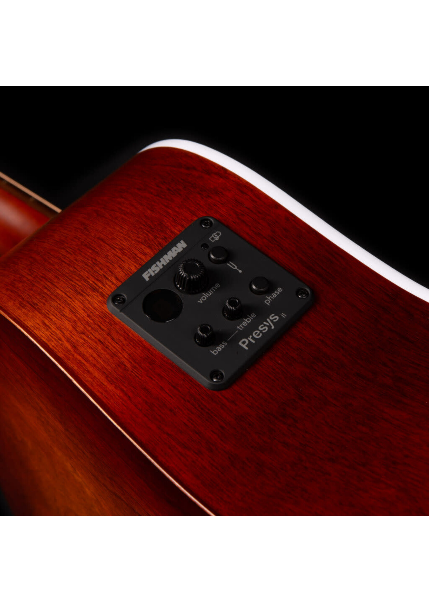 Seagull Seagull Acoustic Entourage Autumn Burst Presys II 051922