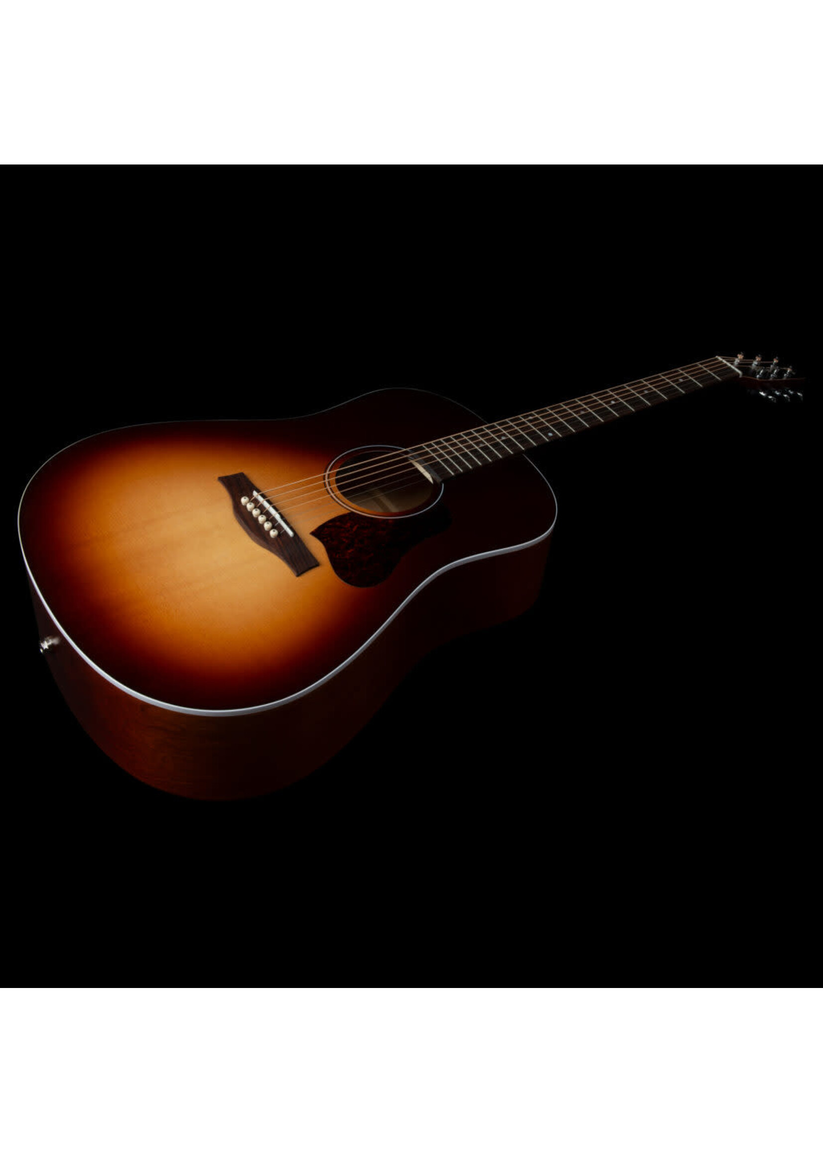 Seagull Seagull Acoustic Entourage Autumn Burst Presys II 051922