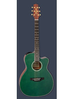 Takamine Takamine 2025 Limited Edition Acoustic Electric LTD2025
