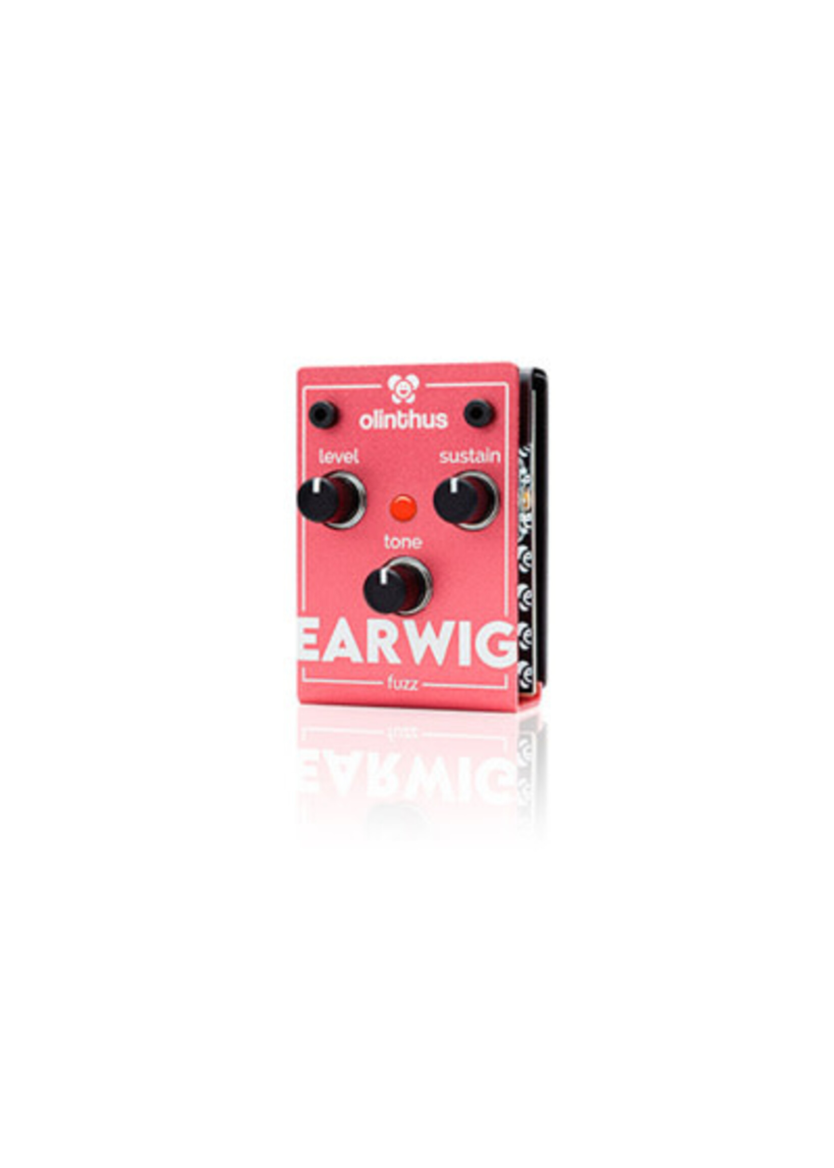 Olinthus Olinthus EARWIG Fuzz Pedal
