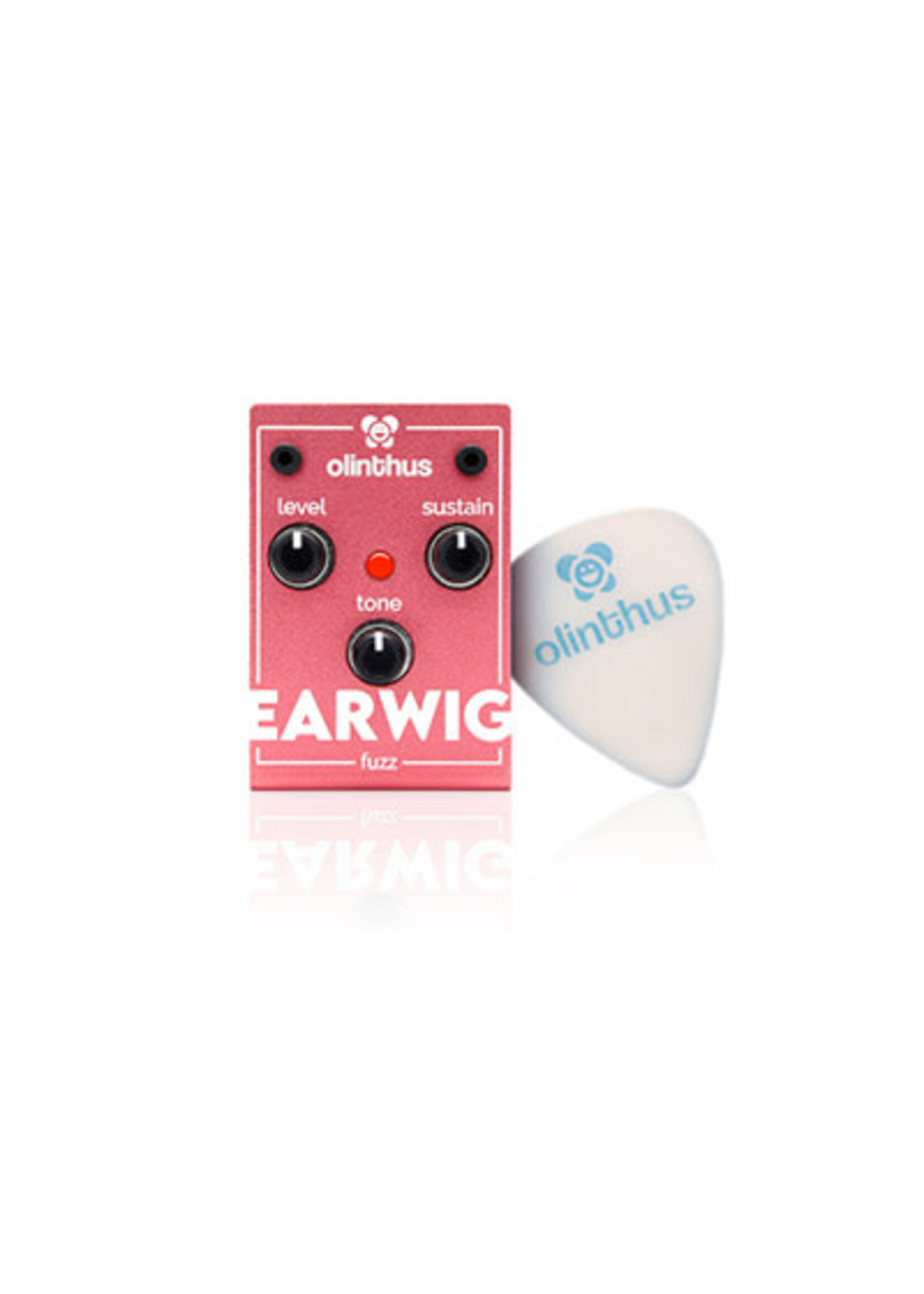Olinthus Olinthus EARWIG Fuzz Pedal