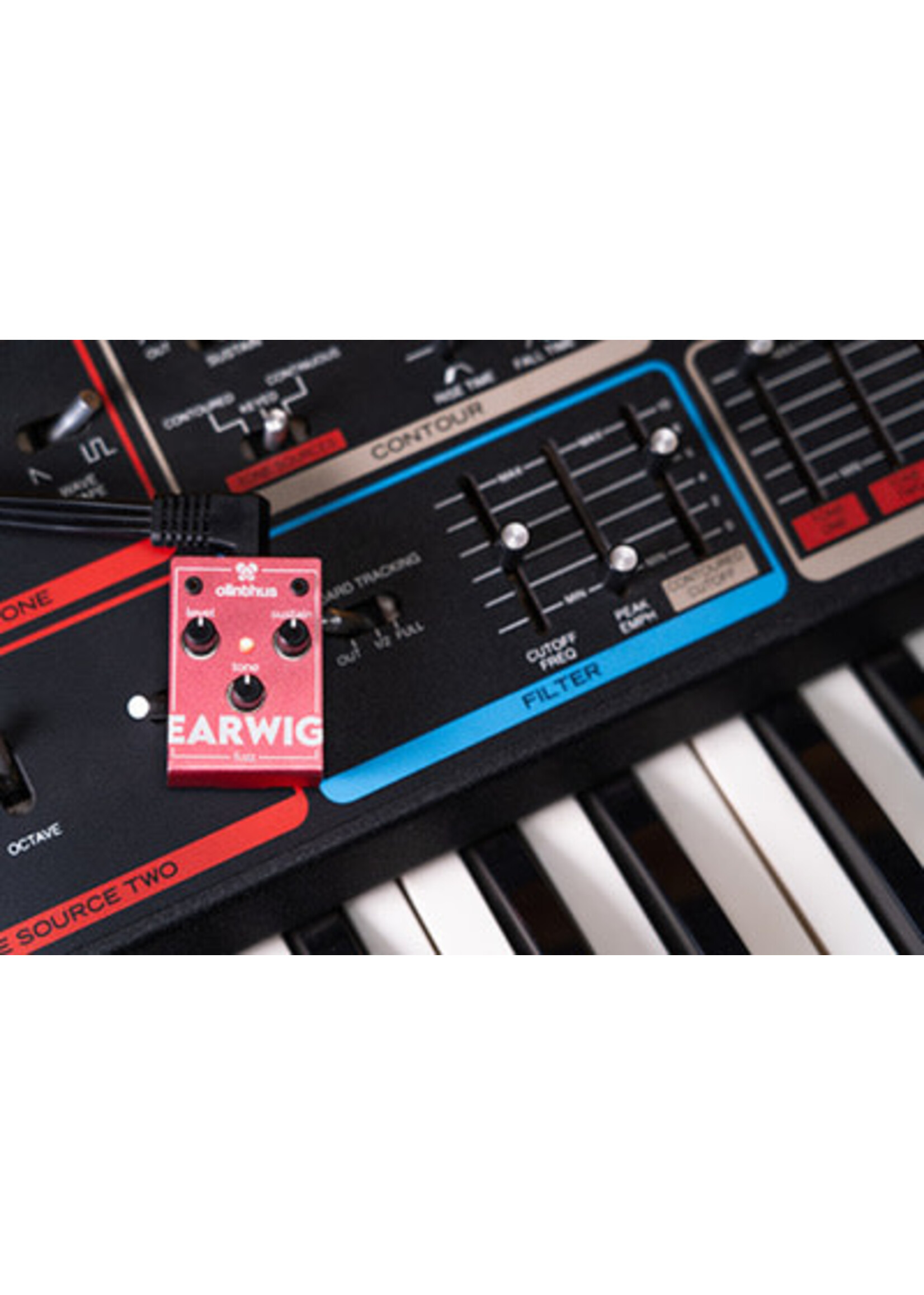 Olinthus Olinthus EARWIG Fuzz Pedal