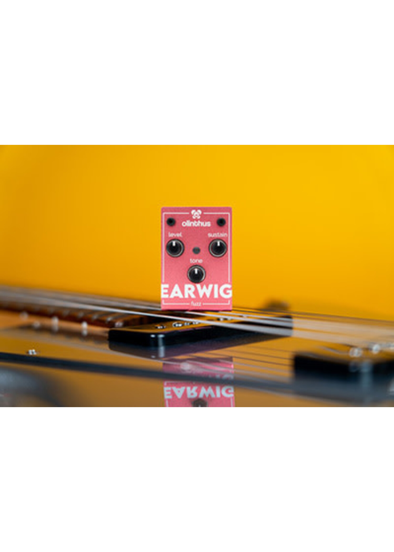 Olinthus Olinthus EARWIG Fuzz Pedal