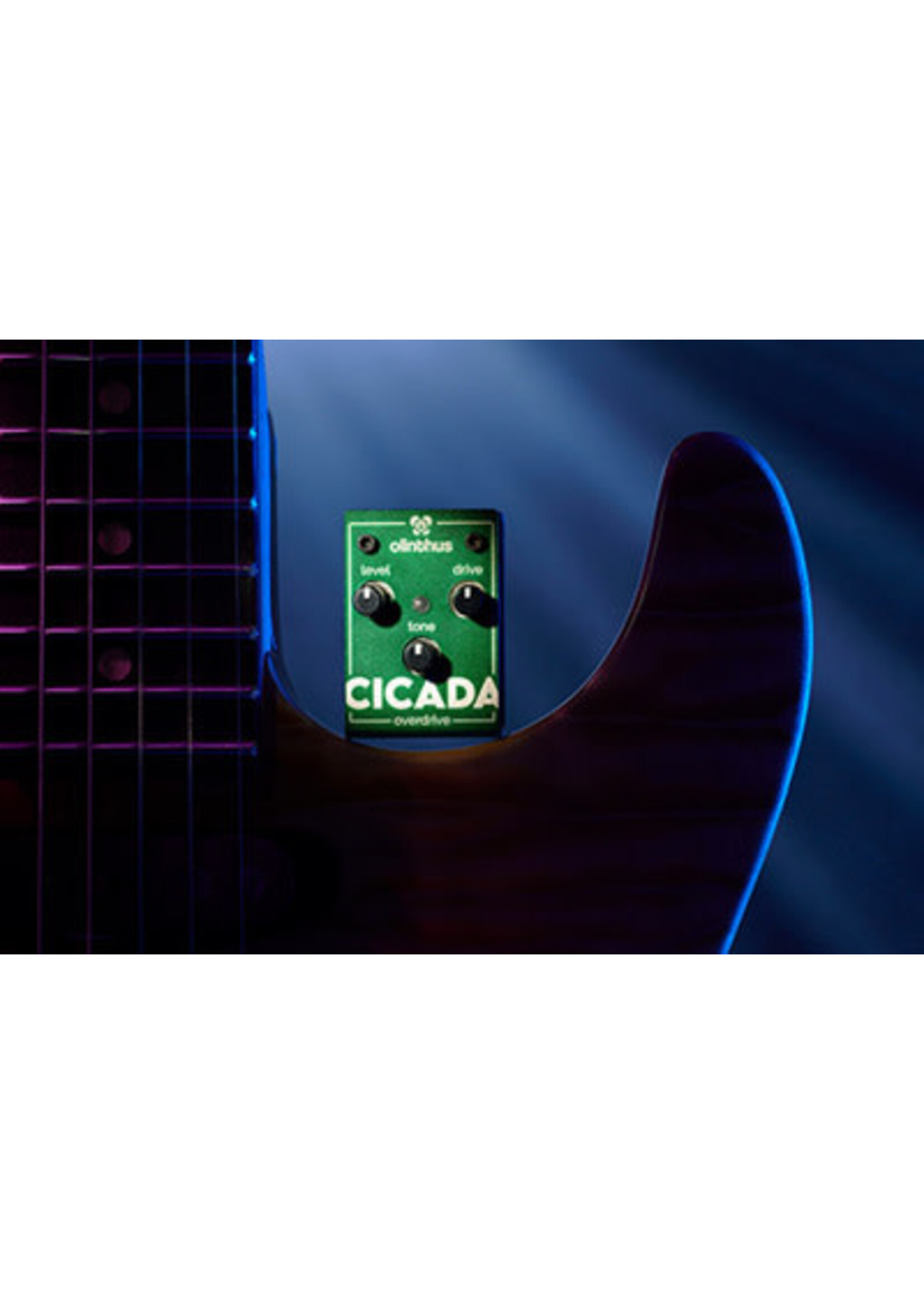 Olinthus Olinthus CICADA Overdrive Pedal