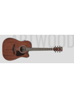 Ibanez Ibanez Acoustic Electric Artwood AW54CE Open Pore Natural