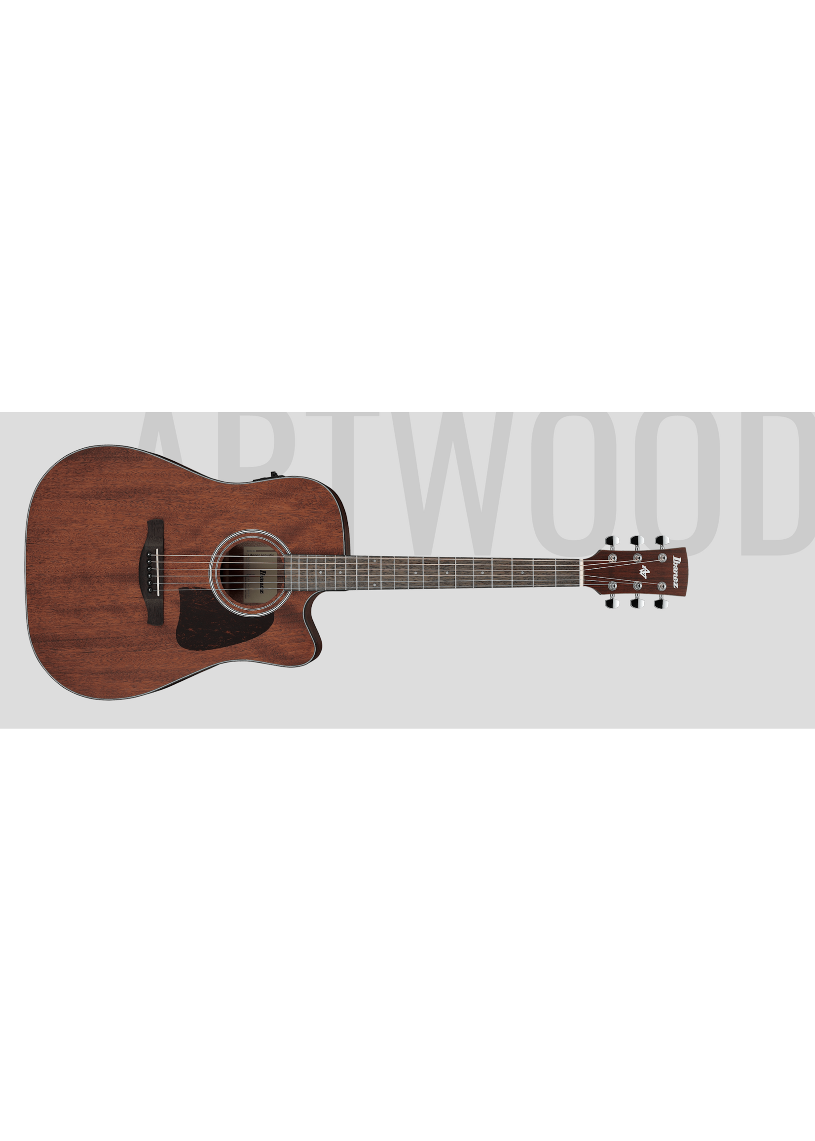 Ibanez Ibanez Acoustic Electric Artwood AW54CE