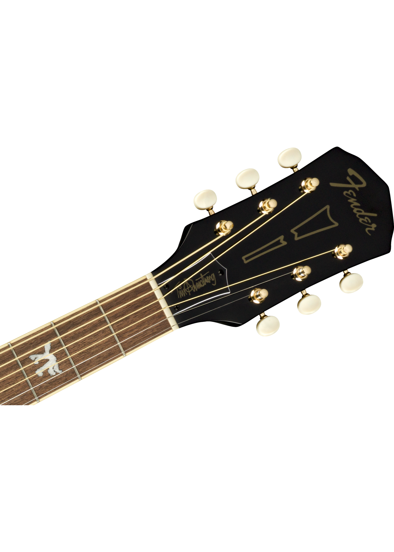 Fender Fender Tim Armstrong Hellcat 10th Anniversary Black