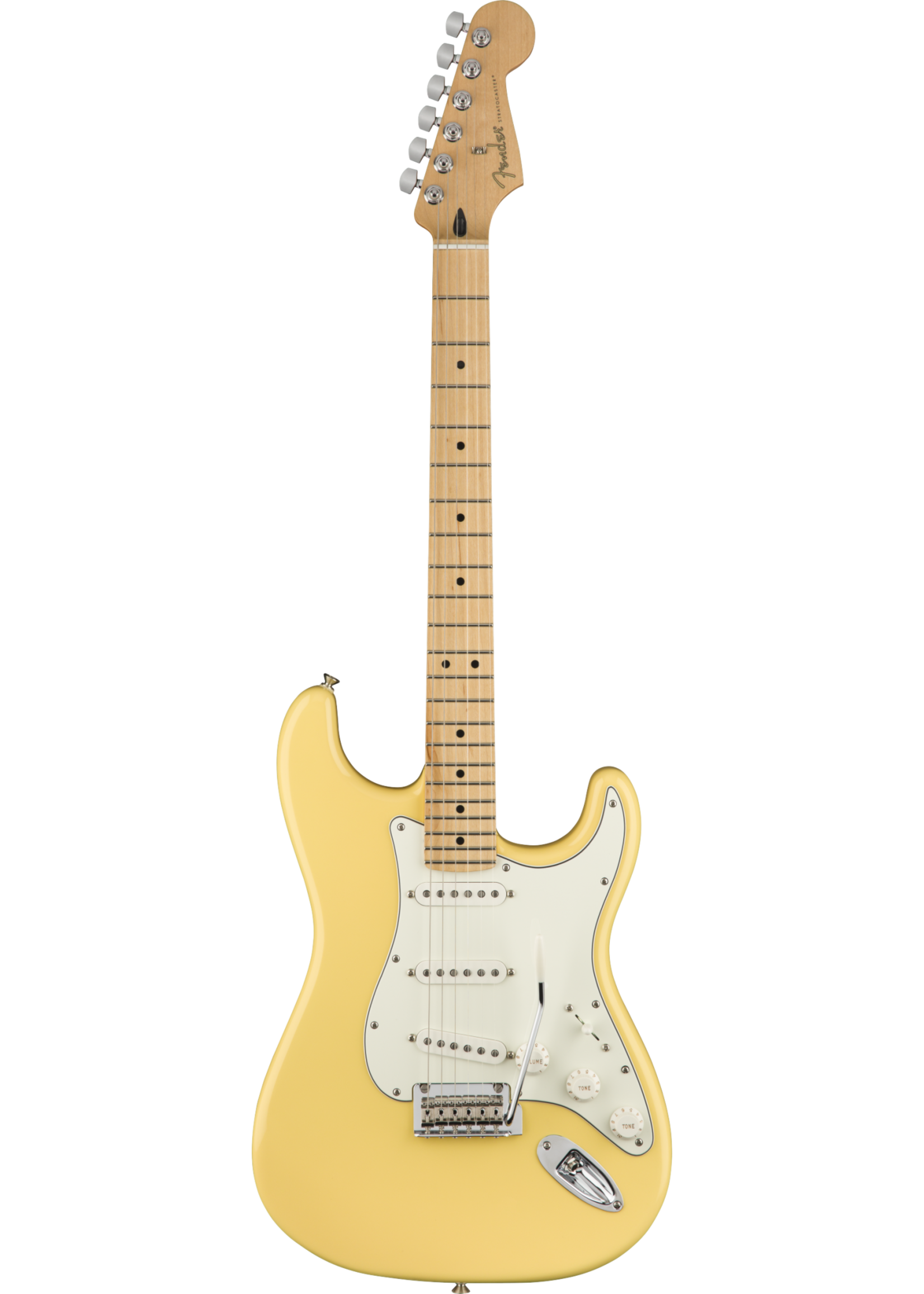 fender player stratocaster buttercream maple neck