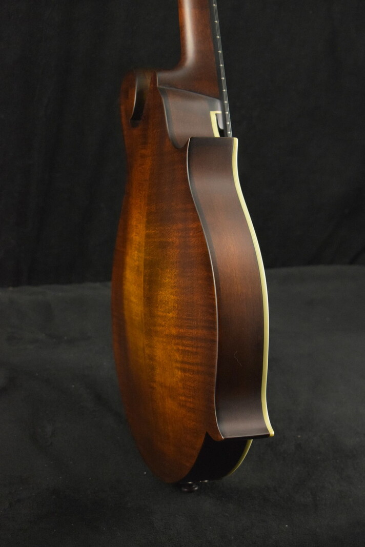 https://cdn.shoplightspeed.com/shops/647465/files/50266685/800x1067x3/eastman-eastman-md315l-left-handed-f-style-f-hole.jpg