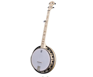 Deering Goodtime Two 5 String Banjo with Resonator Fuller s Guitar