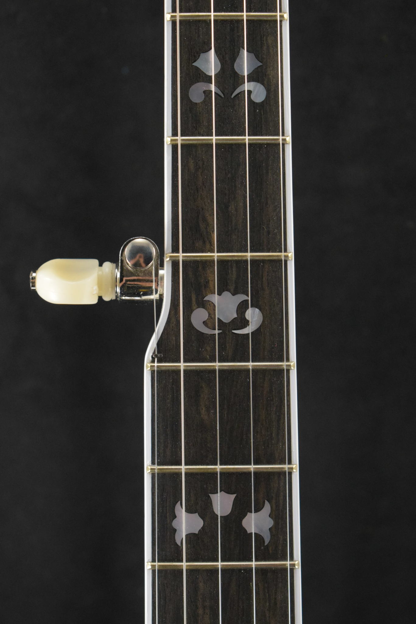 Deering Deering Maple Blossom 5-String Banjo