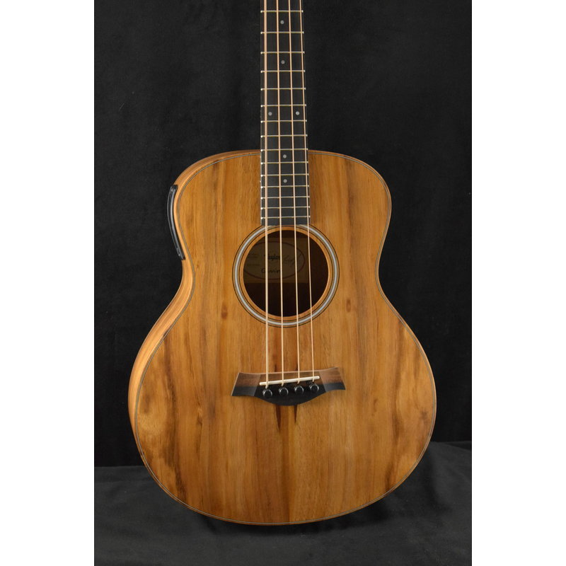 Acoustic Electric Fuller's Guitar