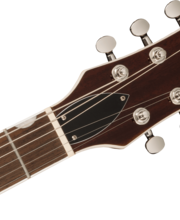 GRETSCH G5210T-P90 bigsby （変え弦付き） Amazon.com: Gretsch G5210T-P90 Electromatic Jet Two 90