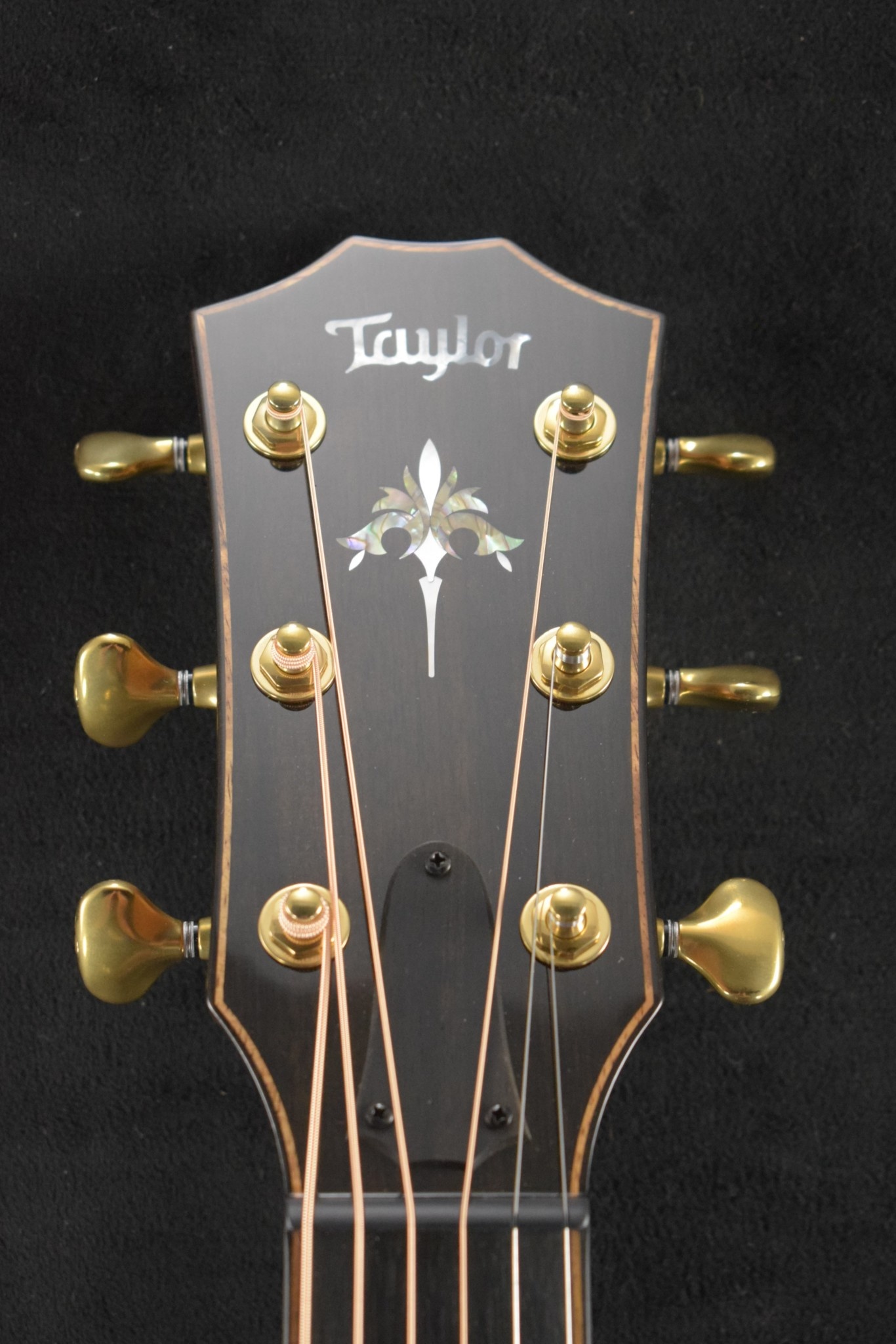 Taylor Taylor 914ce Natural