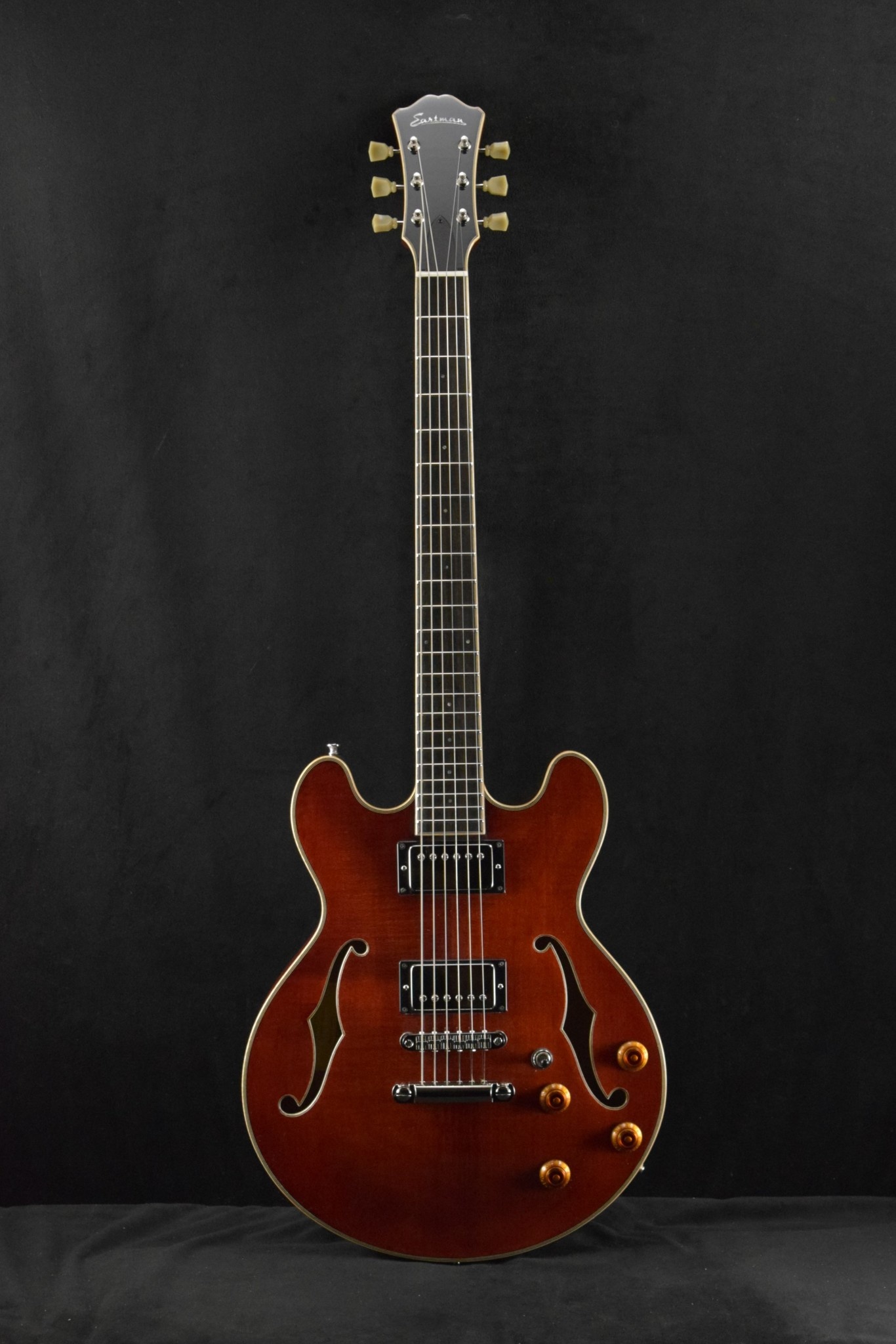 Eastman T484 Thinline Hollowbody Electric Guitar w/Case - Classic Fini –  Acoustic Music Shop