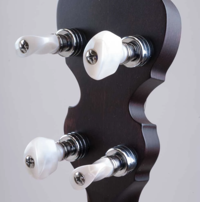 Deering Deering Artisan Goodtime Special 5-String Banjo with Resonator