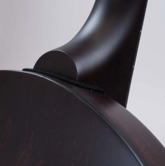 Deering Deering Artisan Goodtime Special 5-String Banjo with Resonator