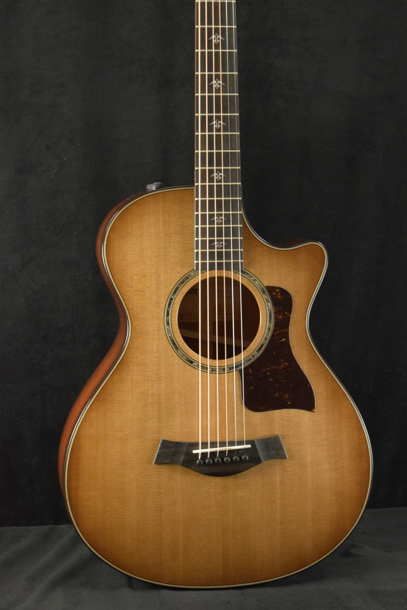 Taylor 512ce アコースティックギター 854ce Indian Rosewood Acoustic-Electric Guitar | Taylor Guitars