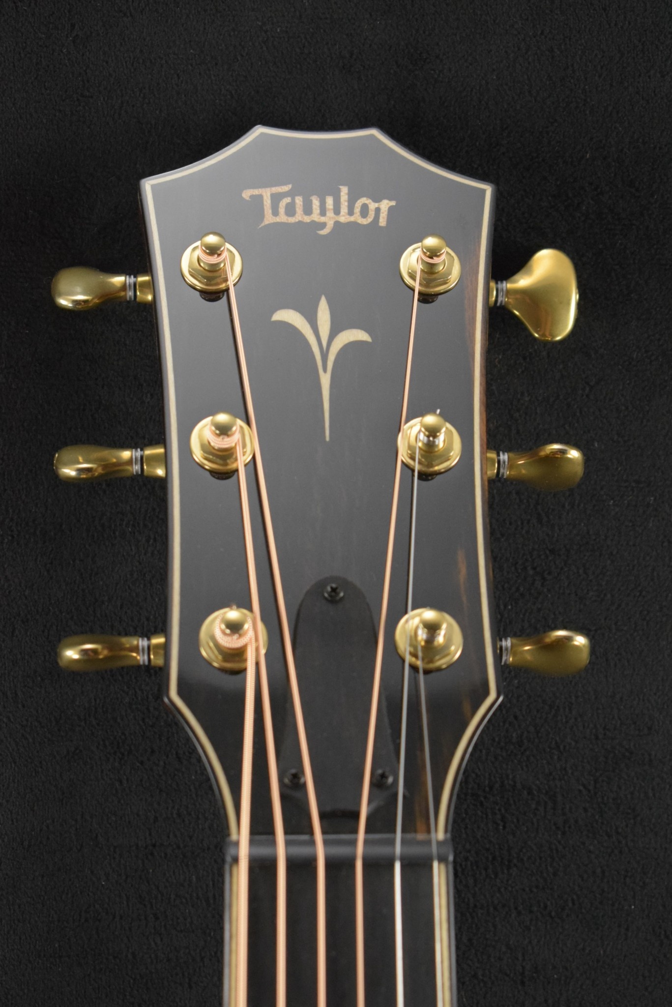 Taylor Taylor K26ce Shaded Edge Burst
